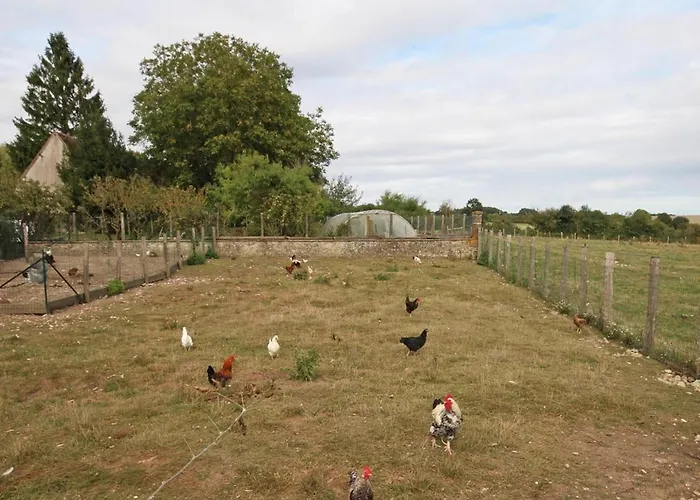 Hébergement de vacances Familial Au Cœur Du Parc Du Perche - Fr-1-497-91 *